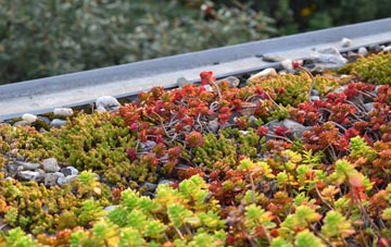 the cost of Fugglestone St Peter green roof installation