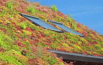 Fugglestone St Peter living roof systems