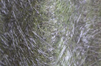 Fugglestone St Peter fibreglass roof work